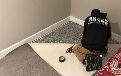 TOP 10 TIPS On How To Fix & Replace Carpet Damaged by Water